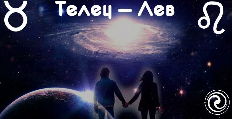 Телец и лев отношения. Телец и лев отношения. Лев и телец любовь. Совместимость льва и тельца. Телец и лев отношения.