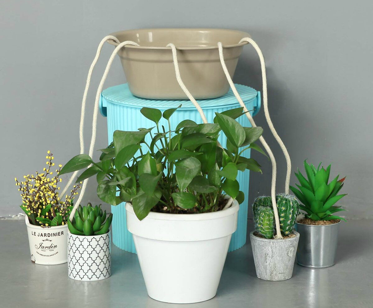 Фото из "Яндекс-картинок". Нитки можно взять тоньше, почва всё равно останется влажной. 