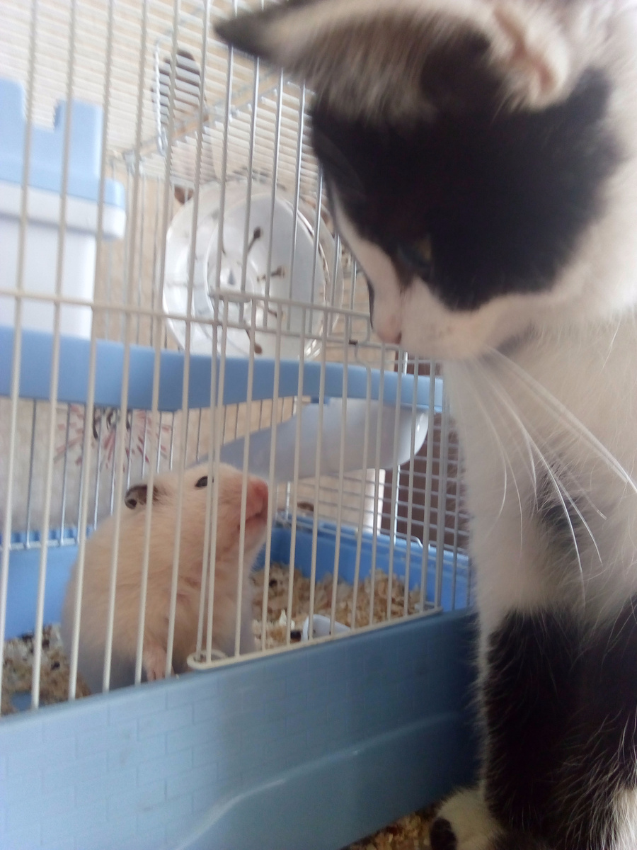 Ну и кто здесь, кого боится?