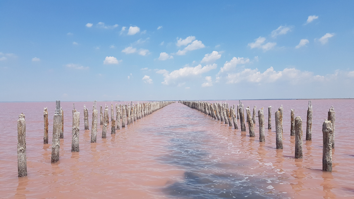 Фото сделано в начале лета, к концу оно будет немного розовее. Фильтров не применял )