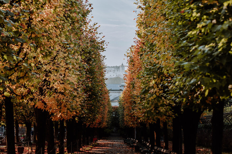 Зальцбург. Фото из фото-банка Австрийского Представительства по Туризму.