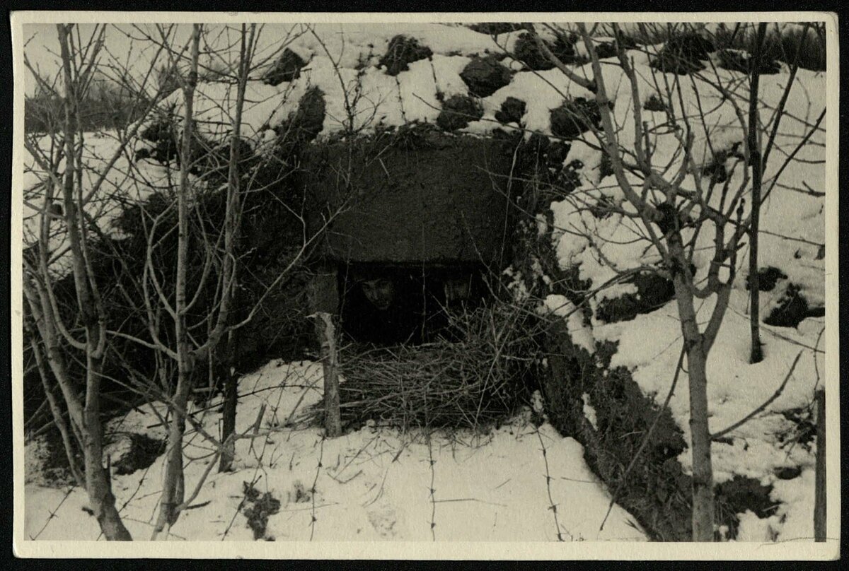 Автор С. Н.Струнников 1941г, Можайская линия обороны