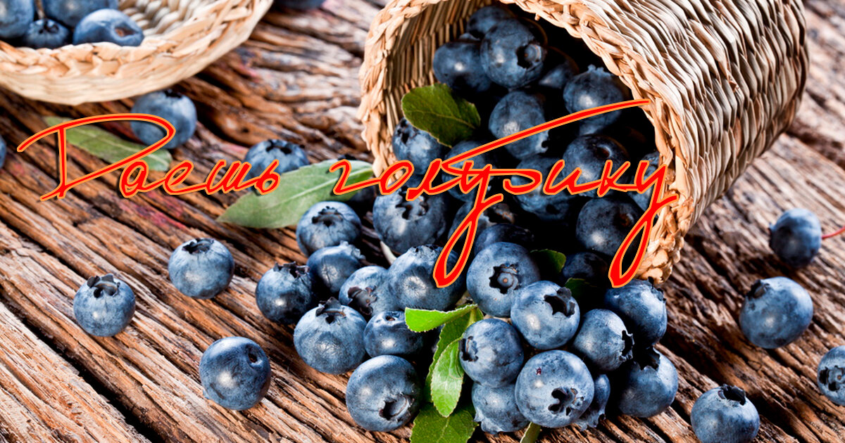 Хороший бизнес!