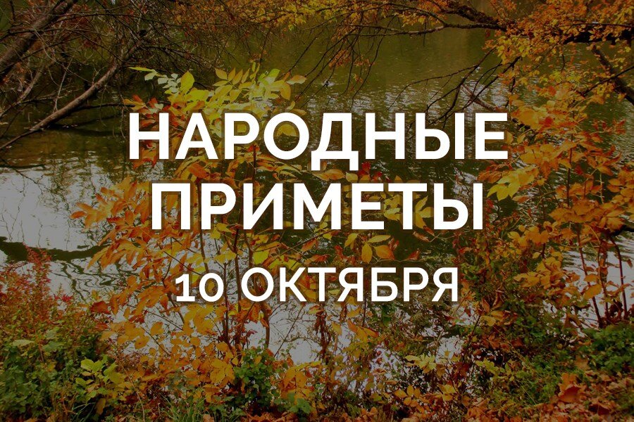 Фото: Гороскопы, Приметы, Советы