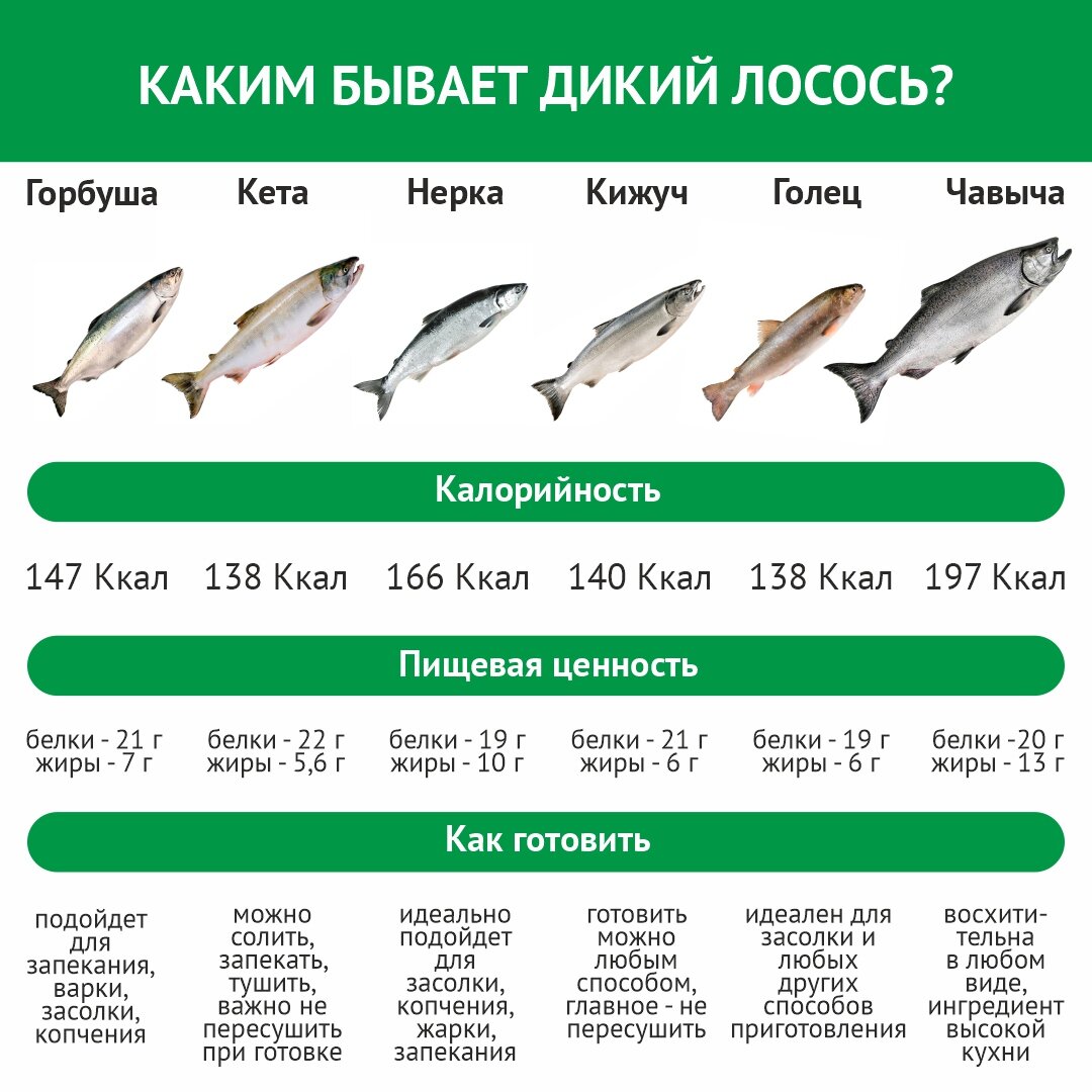 Кета и горбуша КБЖУ