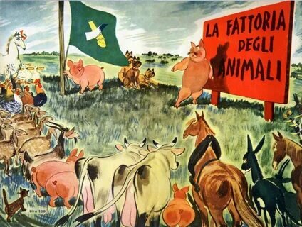 Фото взято из открытых источников