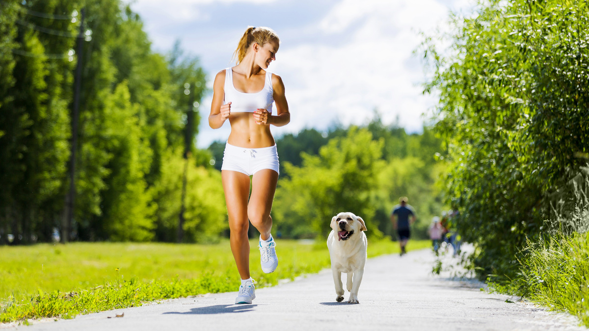 Бежать голодный. Девушка на пробежке в парке. Девушка на пробежке с собакой. Утренняя пробежка. Спортивная девушка в парке.