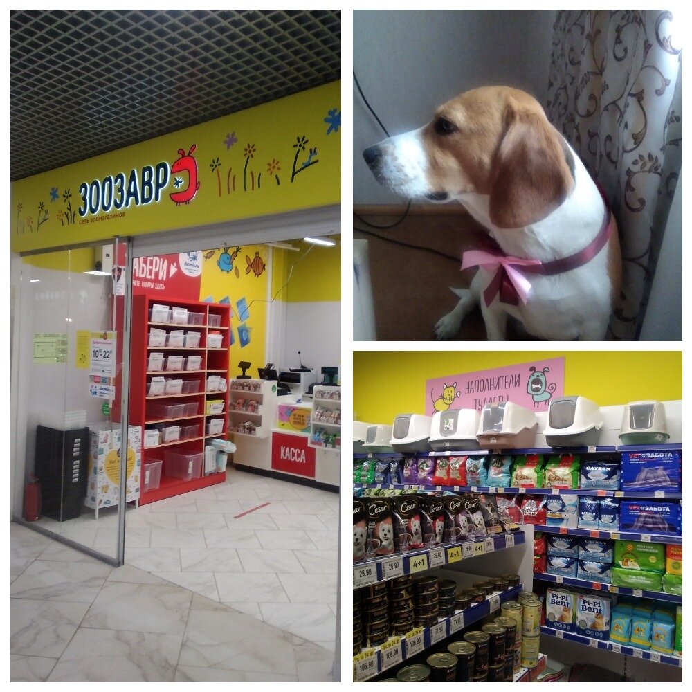 Зоозавр детский мир. Зоозавр вологда. Зоозавр вологда. Зоозавр вологда. Зоозавр интернет магазин.