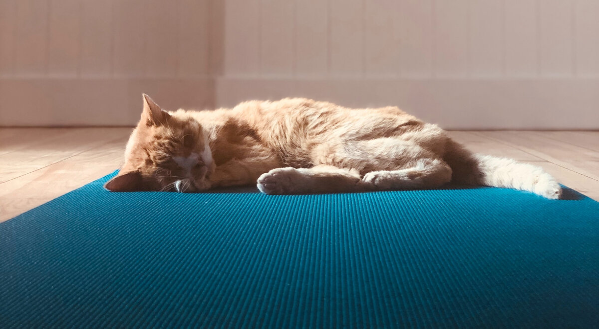 Источник фото: Pexels.com