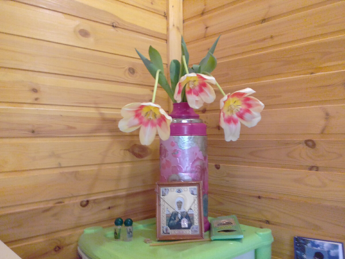 На праздник обретения мощей блаженной Матроны Московской 8 марта 2020 г. цветы склонились к образу Матроны.