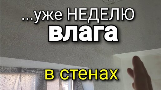 Б Состав, проверенный рецепт и фото коктейля Б — Inshaker