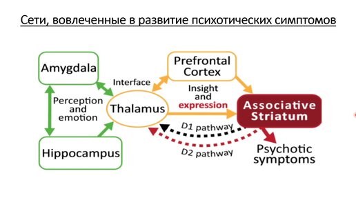 Молчанова А. И. - Физиология и современная медицина. Цикл научных докладов - Лекция 7