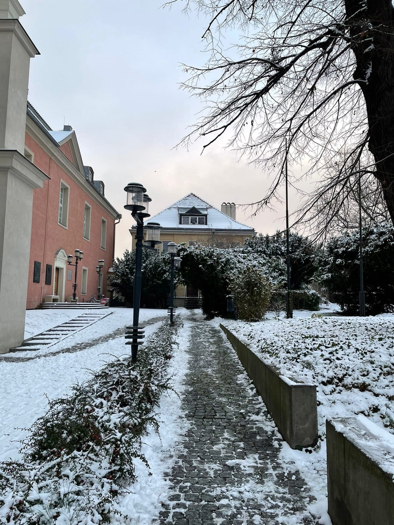 Королевский замок в Познани, фото автора