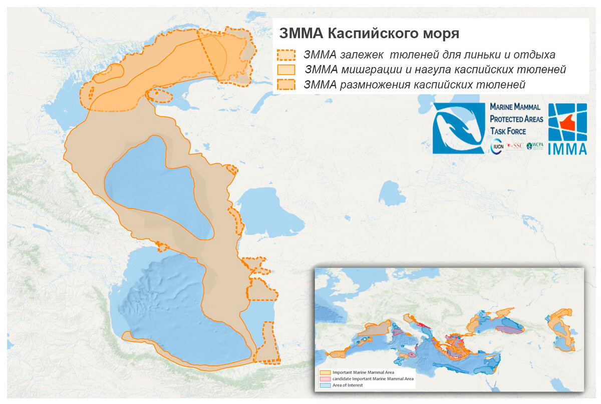 Три значимые для морских млекопитающих акватории на Каспии. По материалам сайта Института проблем экологии и эволюции имени Северцова