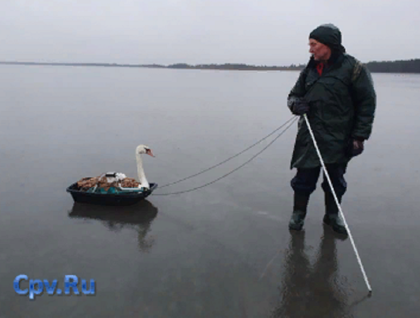  Фото с Информационного сайта www cpv.ru