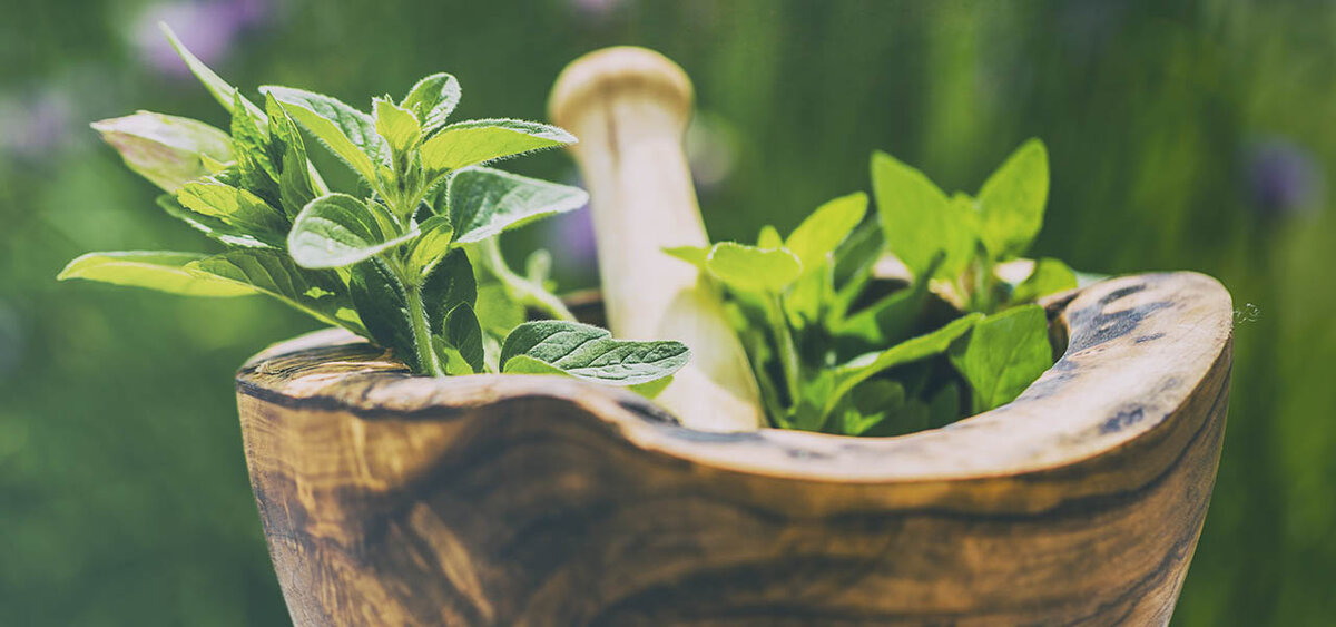 Фотография взята из интернета