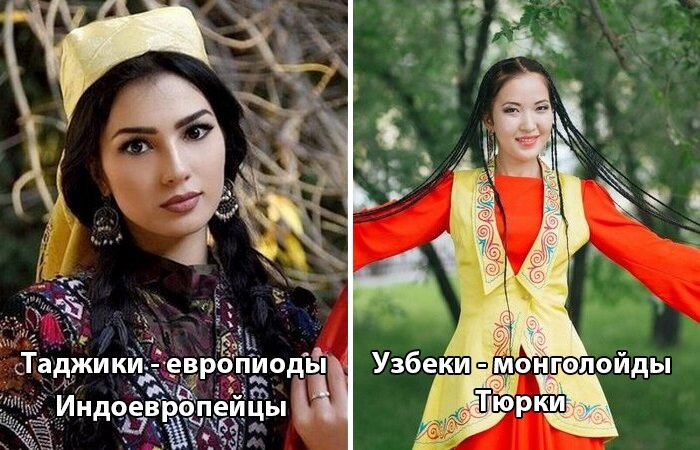 Живут совсем рядом и при этом так отличаются. |Фото: novate.ru.