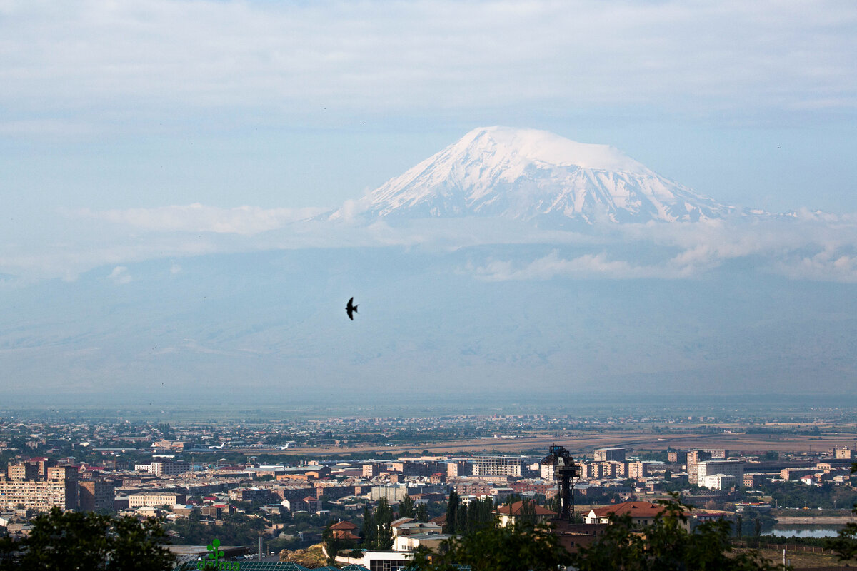 © 2022 Alexander Zemlianichenko/AP