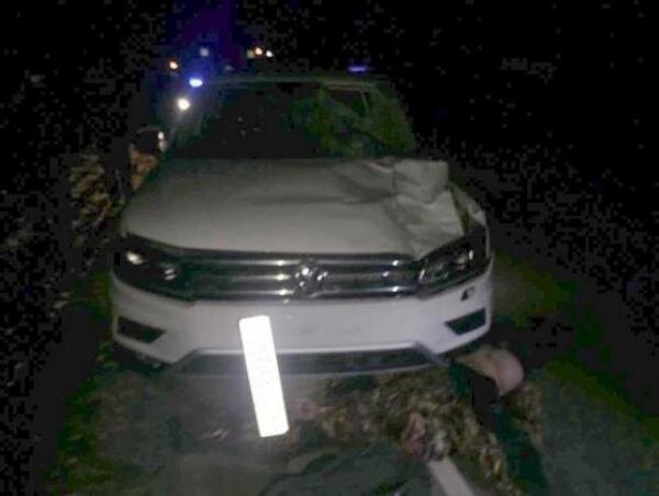 Источник фото: пресс-служба ГИБДД по Ростовской области 