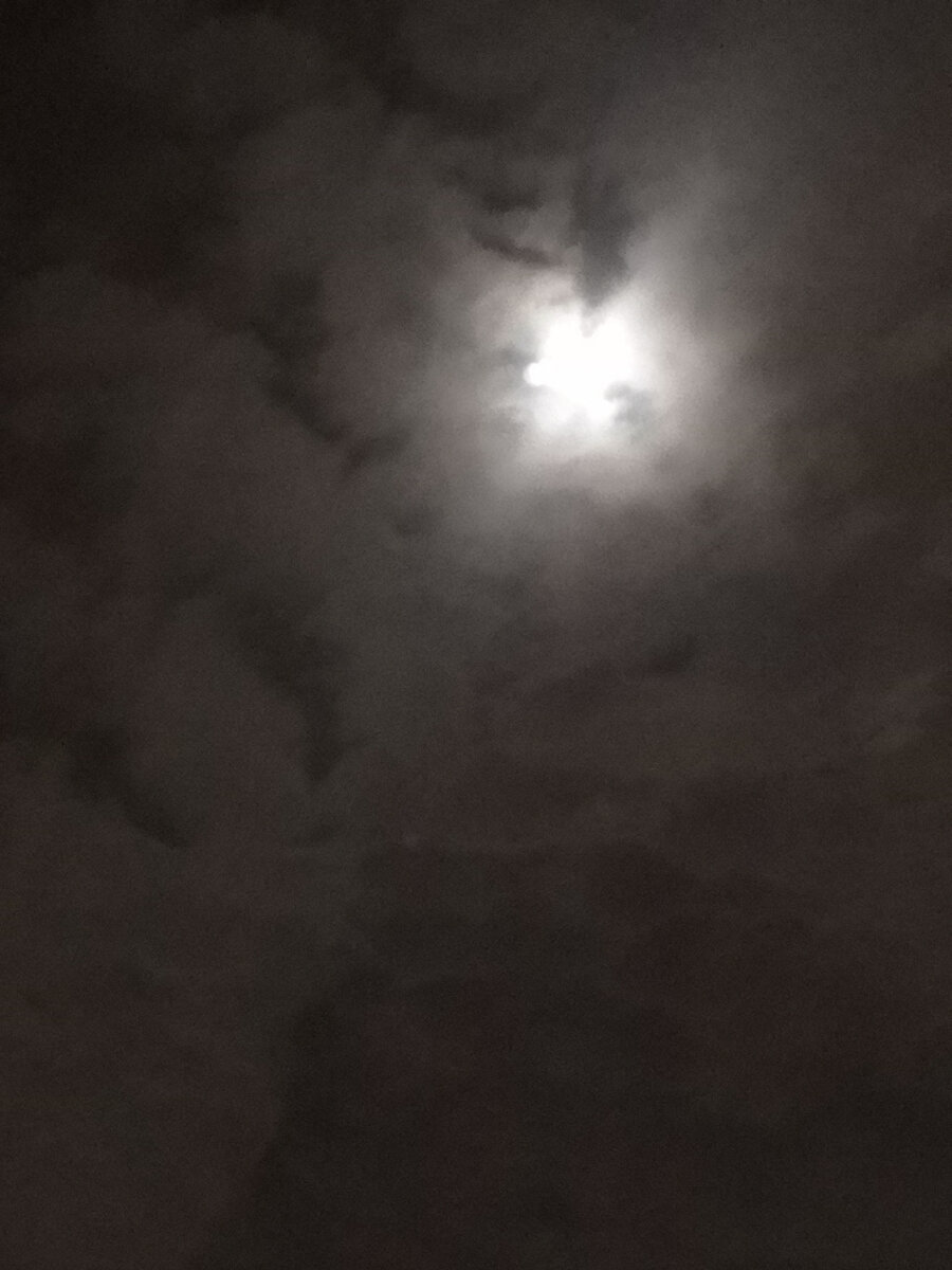 Фото автора.  Наверное полнолуние.