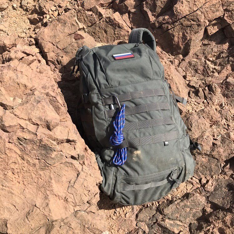 Иран, охота на керманского барана