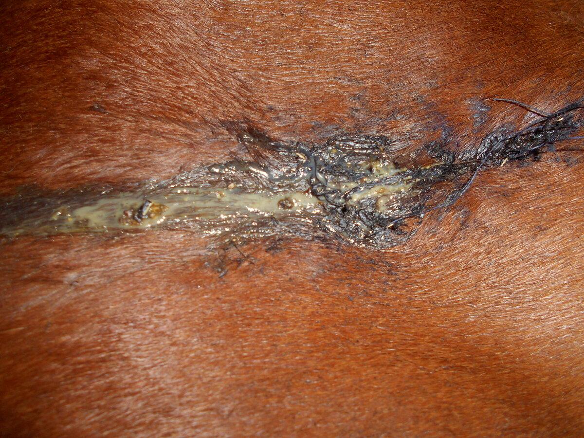 До обработки