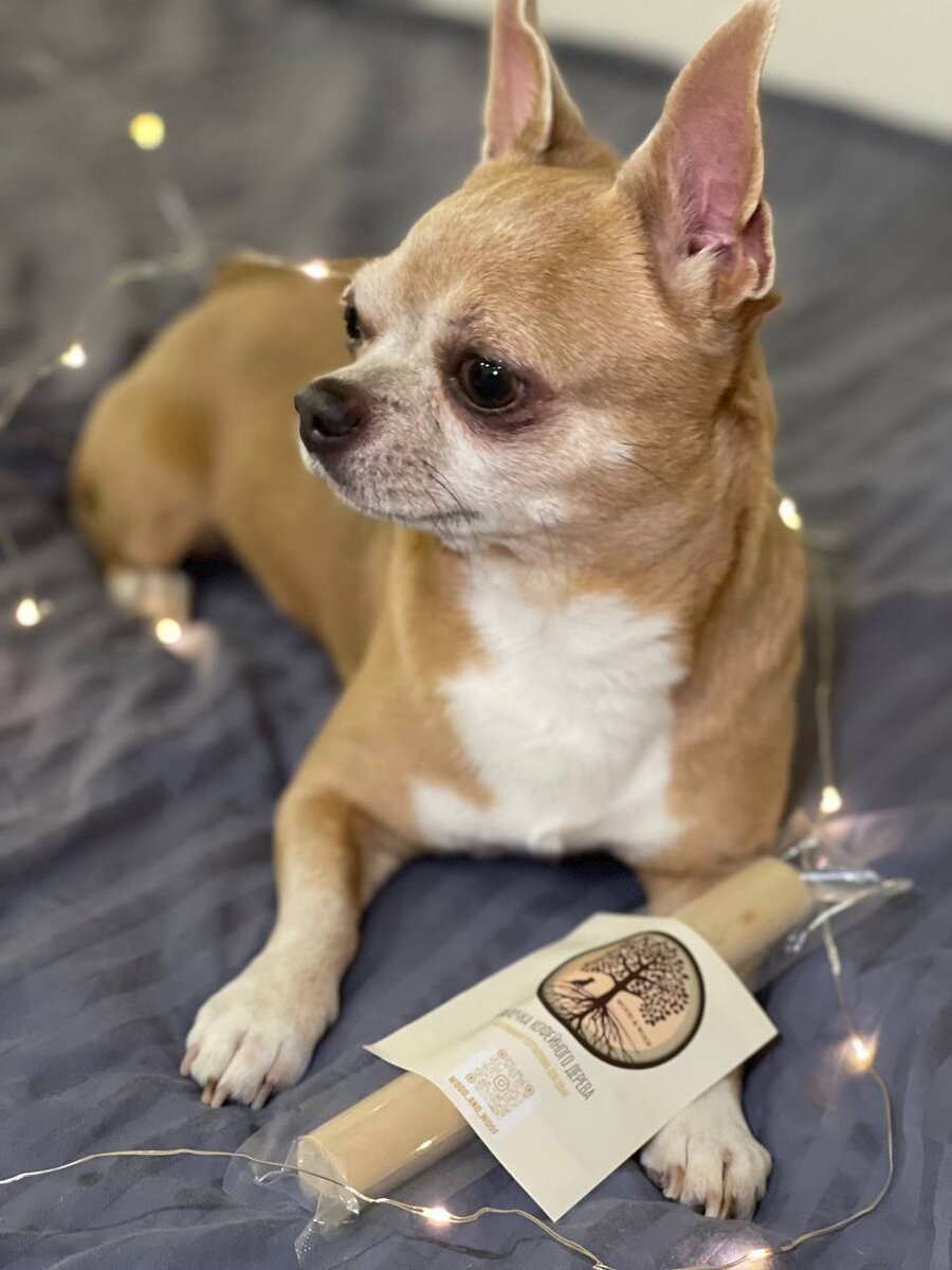 XS - подойдёт для мелких пород, таких как чихуаху, Йоркширский терьер, шпиц, карликовый пудель, тойтерьер и другим собакам миниатюрного размера. Вес такой палочки до 100 гр, длина 10-15 см.