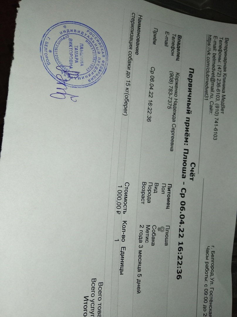 Одна из квитанций о стерилизации