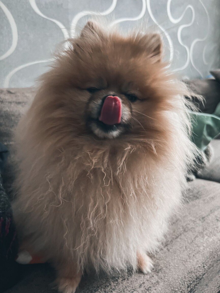 -2