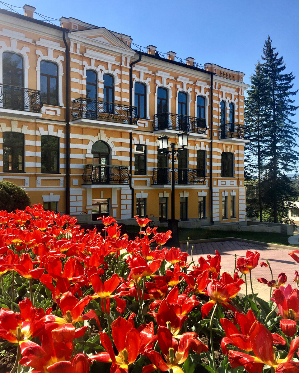 Тюльпаны, в первых числах мая.