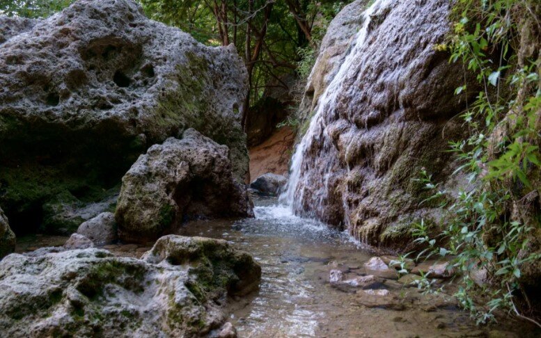 Начало источника Карасу-Баши. Караби-Яйла. Алушта