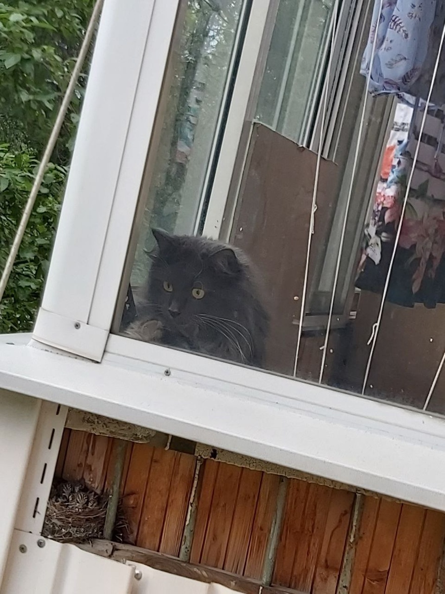 С утра до вечера на страже