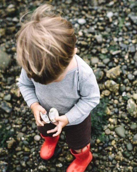 Самый безобидный сбор подножного добра!