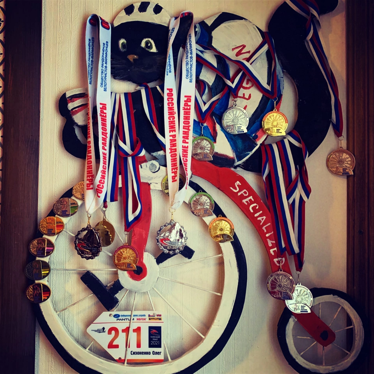 Неполная коллекция медалей за три года