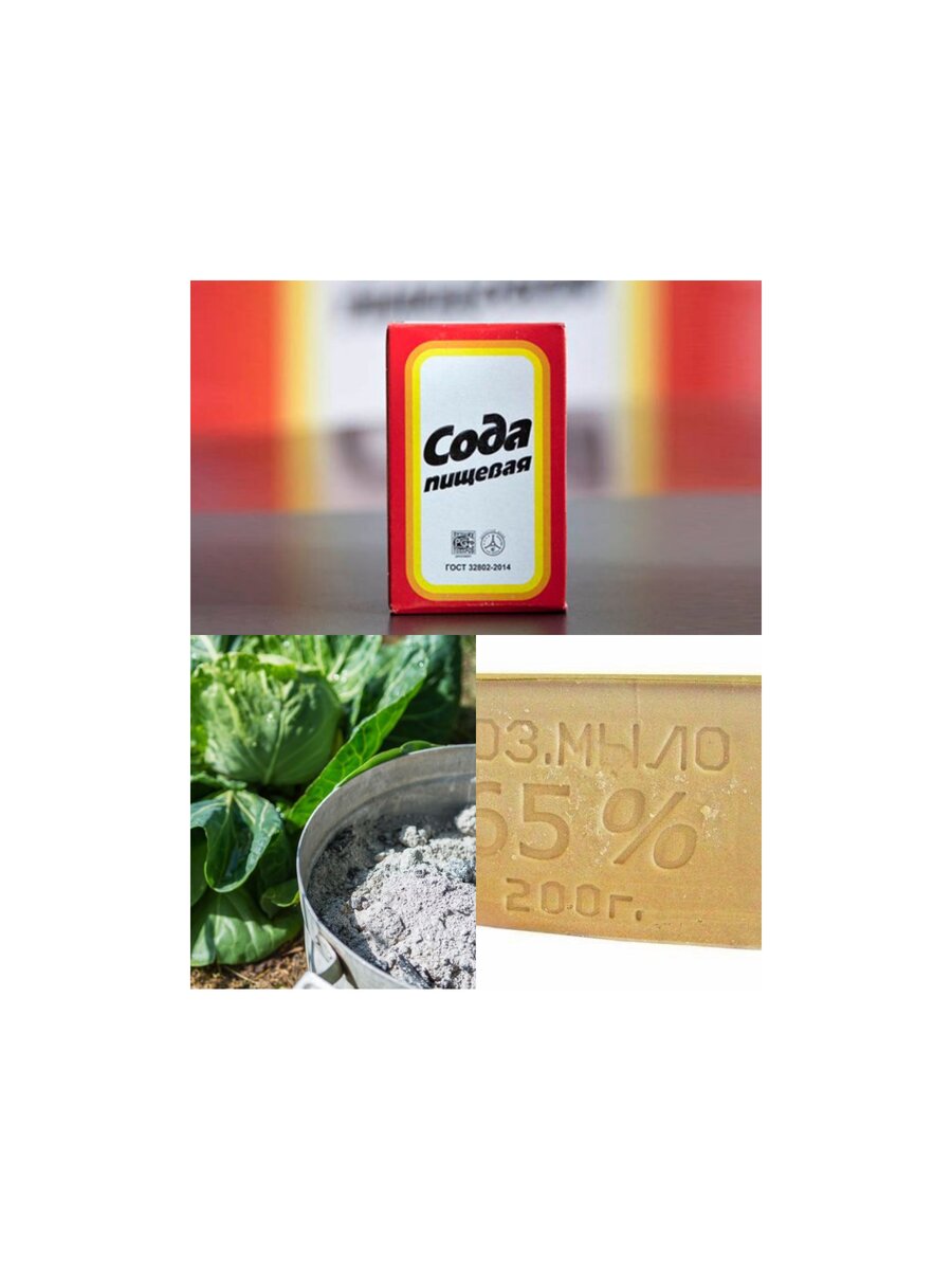 Пищевая сода, зола, хозяйственное мыло. 