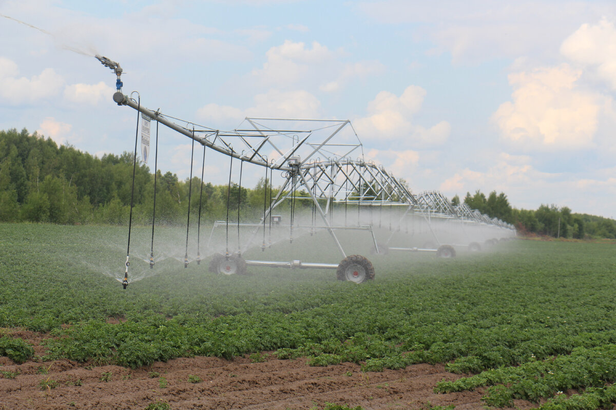 Оросительный комплекс "Рейнке" работает, как природный дождь, значительно повышая урожайность.