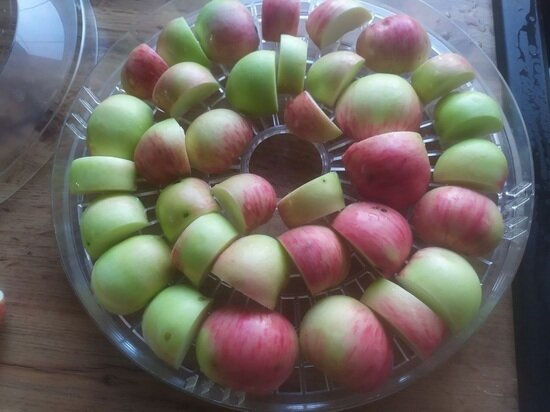     Фото: "МК в Калуге"