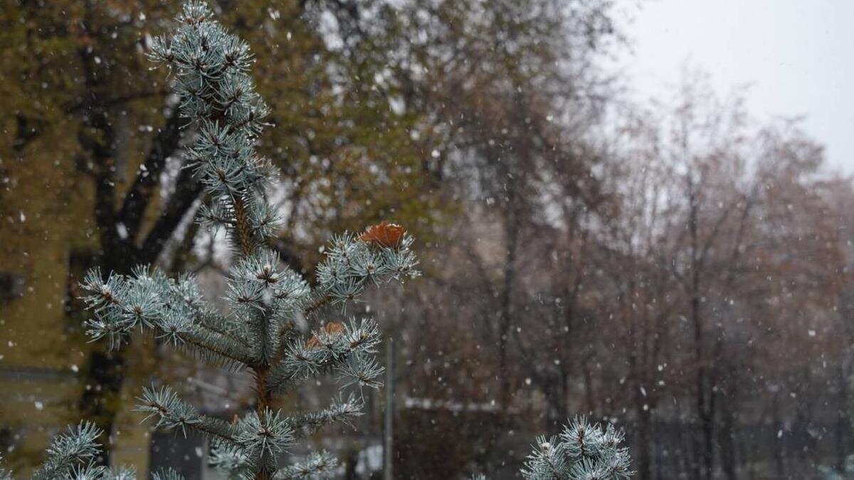    Снег:NUR.KZ/Владимир Третьяков