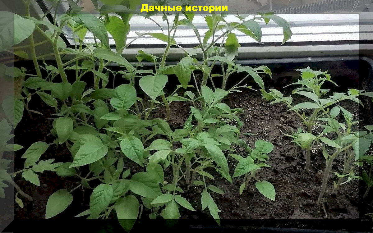 https://vk.com/photo-159774511_457258577