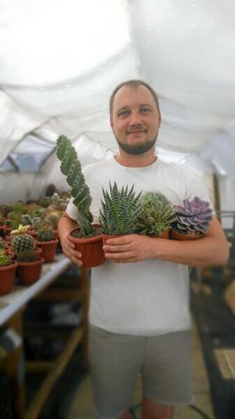Новочеркасск. Владелец самого крупного питомника кактусов и суккулентов в России.