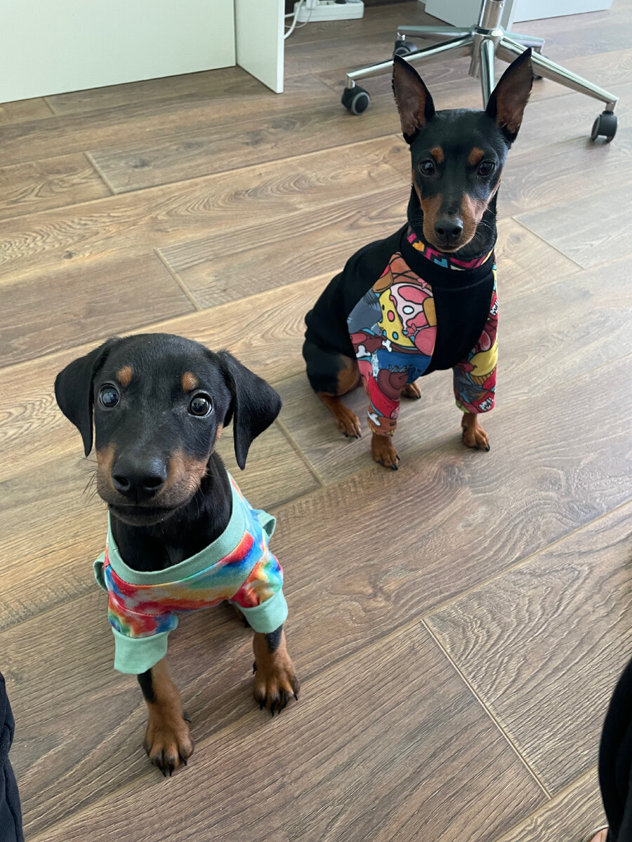 Наши бублики 🥯 сидят, ждут пока я сфоткаю