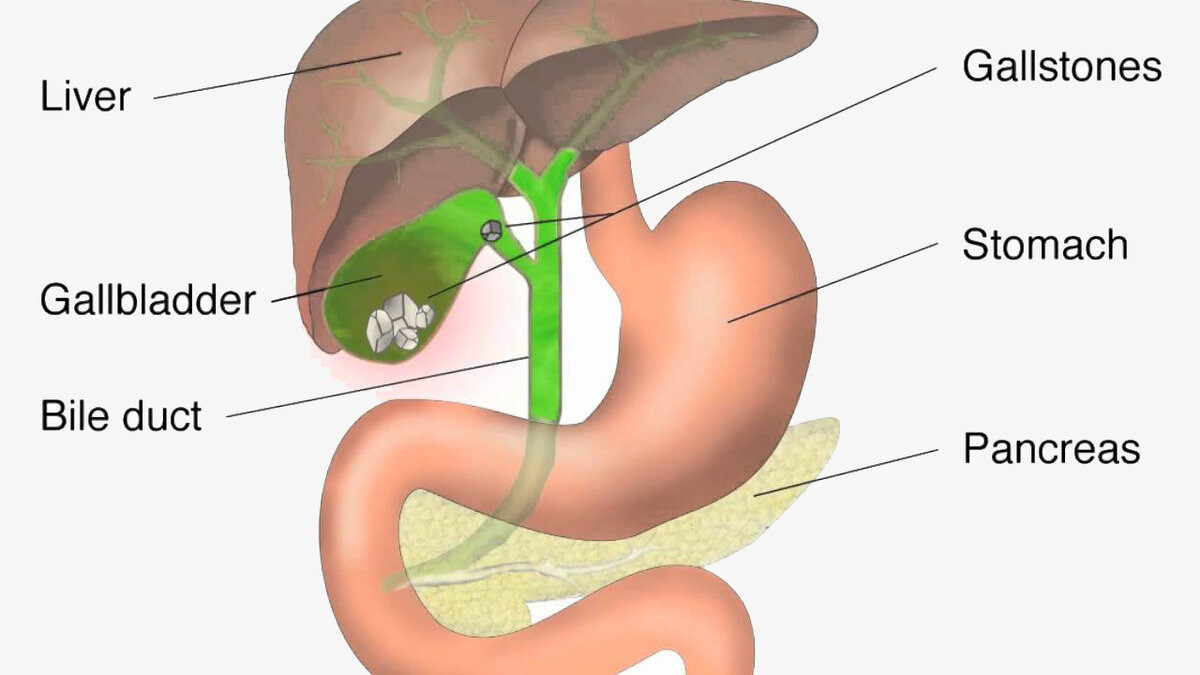 Иллюстрация взята с сайта яндекс Картинки
