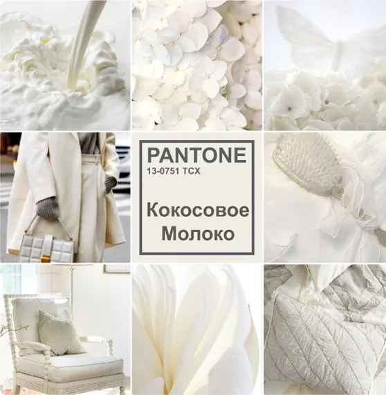 Pantone кокосовое молоко цвет. Цвет кокосовое молоко Pantone в интерьере. Pantone 11-0608 TCX Coconut Milk.