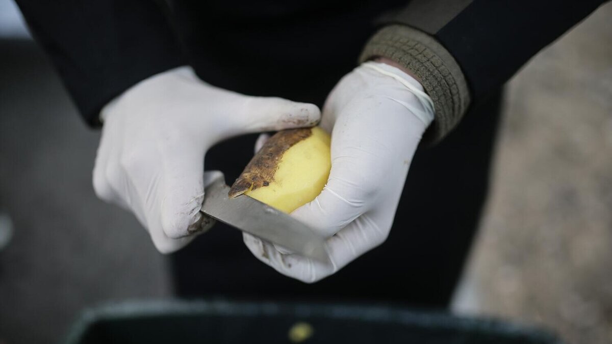    Добавьте в пюре один “секретный” ингредиент: родных за уши не оттянете© РИА Новости | Константин Михальчевский