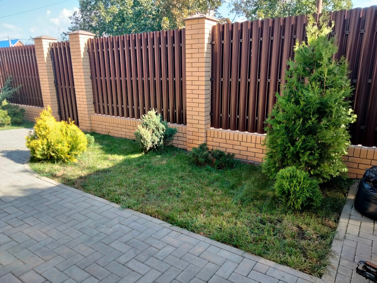 Клумбу побрили