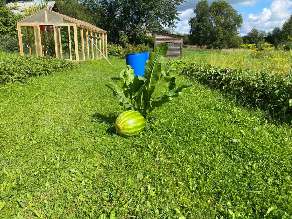 Так выглядит снаружи