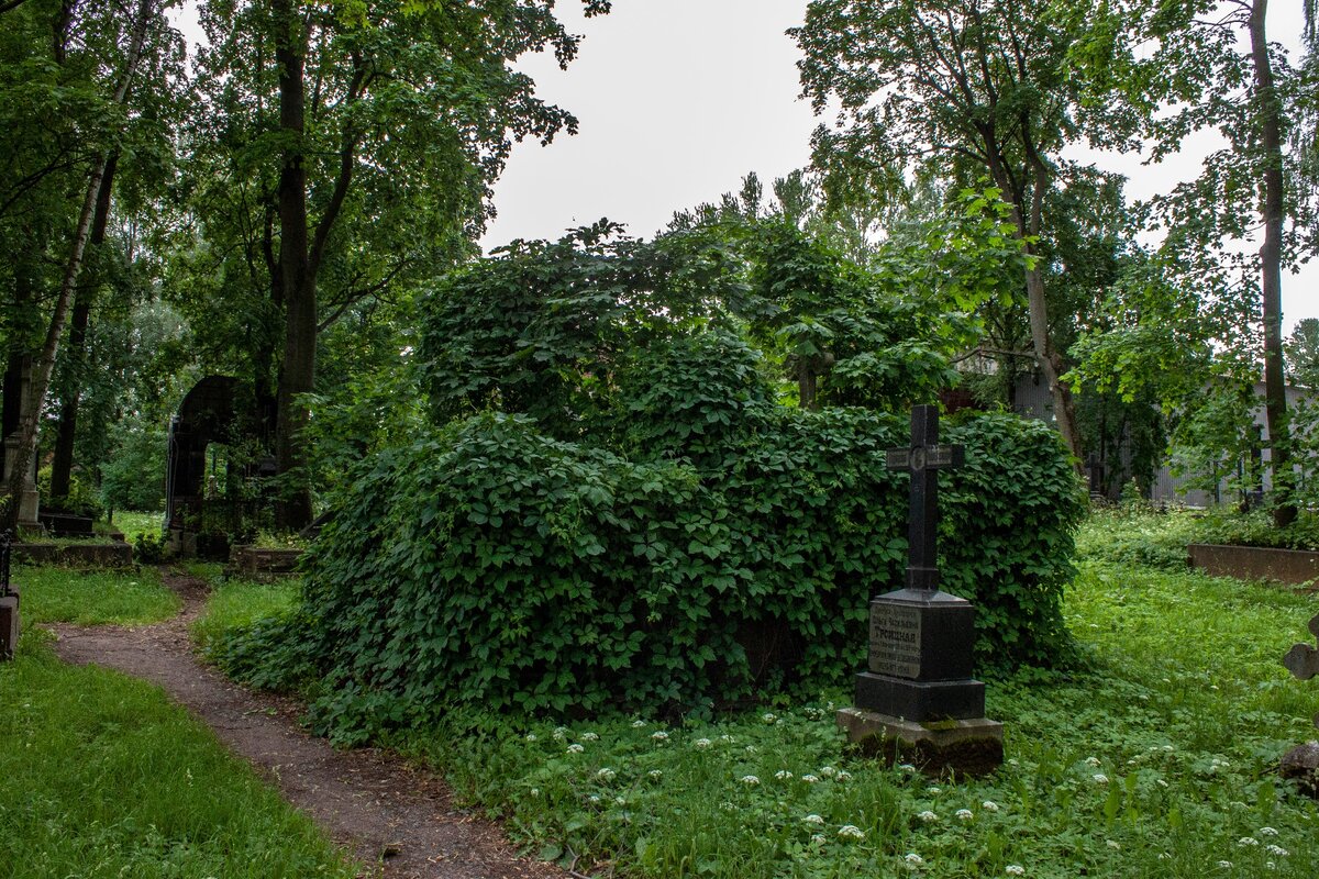 © фото: Дом Среди Лавров.