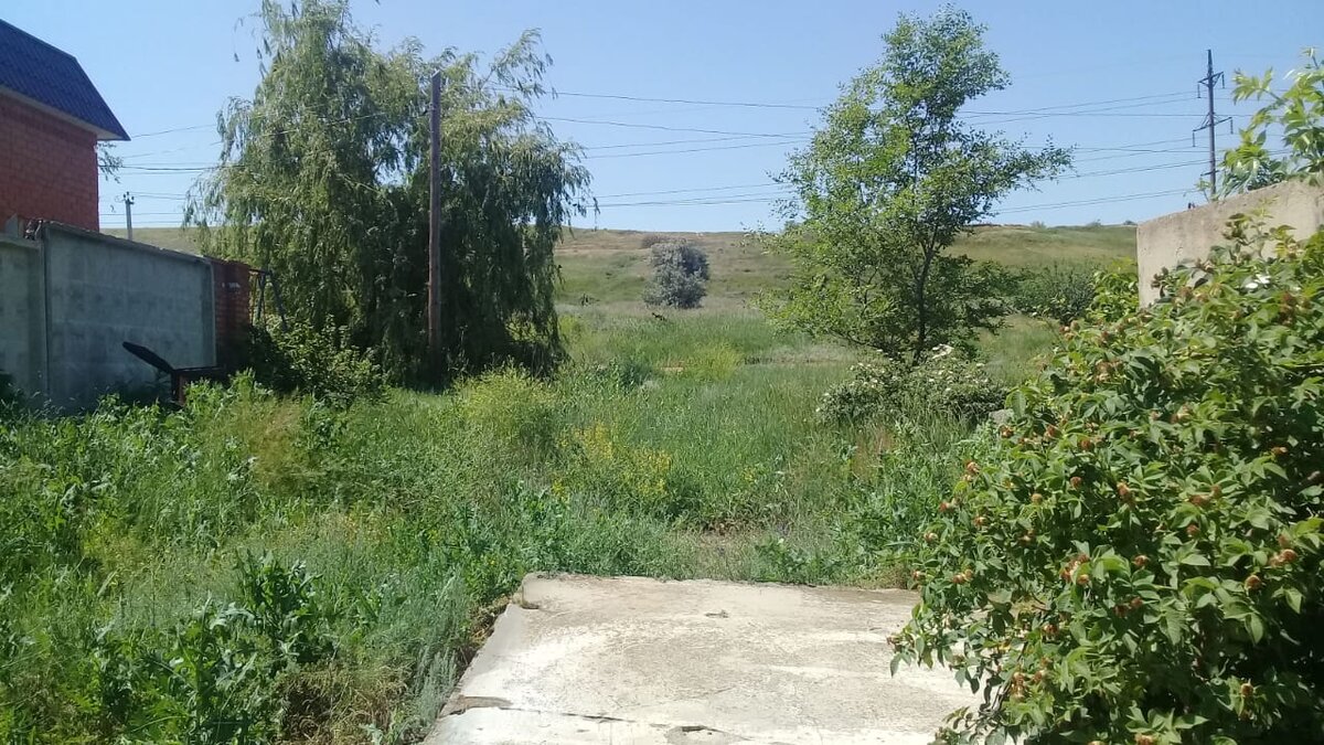 Личный архив