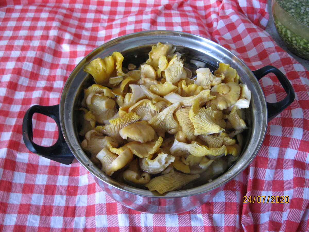 Подготовка лисичек для варки супа