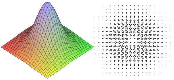 Векторы-градиенты направлены вверх и тем длиннее, чем круче подъем. Источник: https://upload.wikimedia.org/wikipedia/ru/thumb/c/cc/Градиент_холма.gif/600px-Градиент_холма.gif